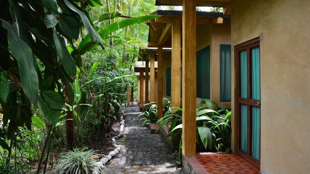 A covered pathway flanked by lush tropical plants leading to a building with wooden pillars and green shutters. - Río Aventura Expediciones (Jalcomulco)