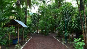 Un sendero en un jardín rodeado de abundante vegetación y un pequeño pabellón.