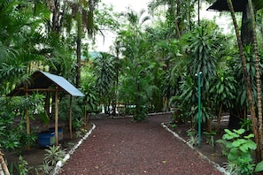 A garden pathway surrounded by lush greenery and a small pavilion.