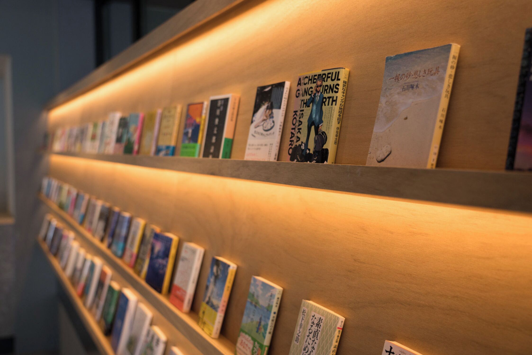 Uma parede com estantes cheias de livros, com títulos e imagens, dispostos em fila.