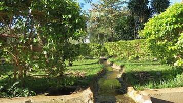 Área da propriedade