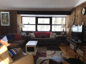 Älytelevisio, takka, videopelejä, DVD-soitin