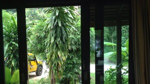 A view through a window with a yellow vehicle on the road, surrounded by lush greenery.