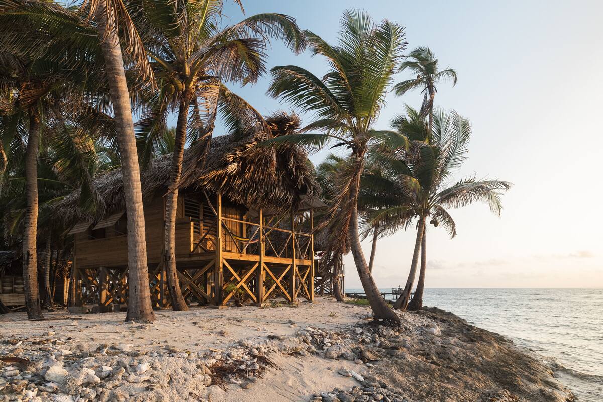 Una playa con palmeras, una estructura de madera y vistas al mar.