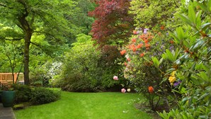 A lush garden with a variety of trees and flowering plants. - Luxurious Wine Country Estate with Mountain and Pastoral Views (Wilsonville)