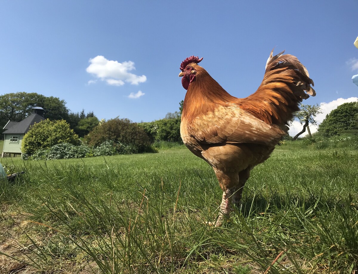 Bild für Gastgeberprofil