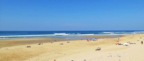 Una extensa playa de arena con gente tomando el sol y nadando.