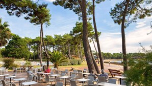 Un'area patio esterna con tavoli e sedie in vimini, circondata da alberi e vista su un corpo d'acqua.