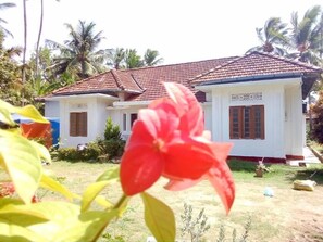 Property grounds - Saja Homestay (Tangalle)