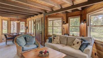 Cabin, 2 Queen Beds, Hot Tub, River View | Living room | 42-inch TV with cable channels, fireplace
