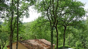 A rustic house with a tiled roof, surrounded by lush greenery and a swimming pool. - Beautiful private villa for 4 people with private pool, WIFI, TV, terrace and pets allowed (Blanquefort-sur-briolance)