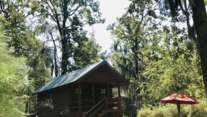A rustic cabin with a metal roof, surrounded by dense trees and a picnic table with a red umbrella. - Once a Part of the Beloved Shady Oak Lodge - Cabin 3 w/ Boat Ramp (Many)