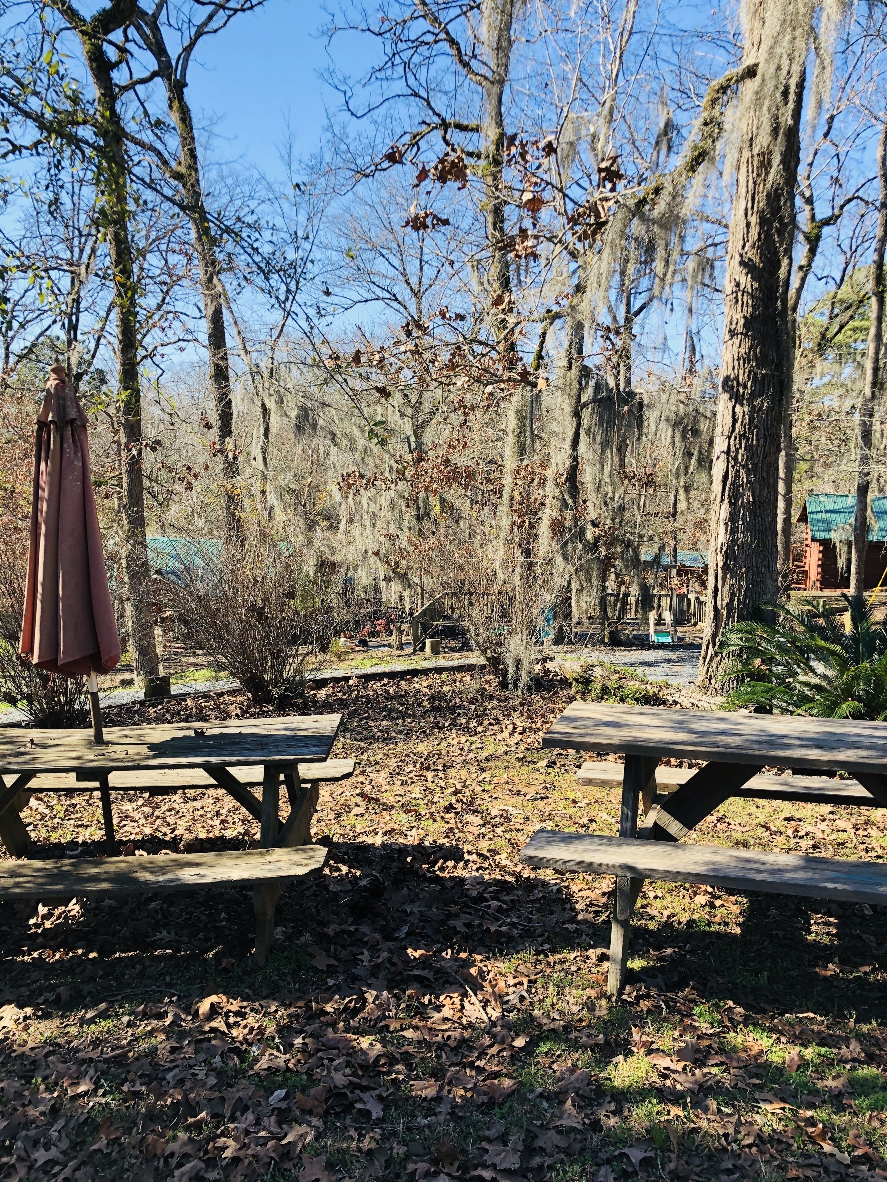 A picnic area with wooden tables and benches, surrounded by trees and a view of a building in the background.