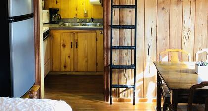 Once a Part of the Beloved Shady Oak Lodge - Cabin 3 w/ Boat Ramp
