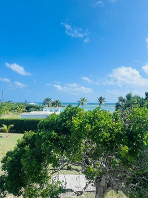 Studio | Beach/ocean view - Coralito Bay Suites & Villas (The Valley)