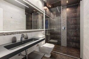 Shower, hair dryer, bidet, towels