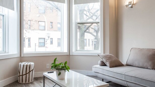 A modern living room with a sofa, a coffee table, and a potted plant.