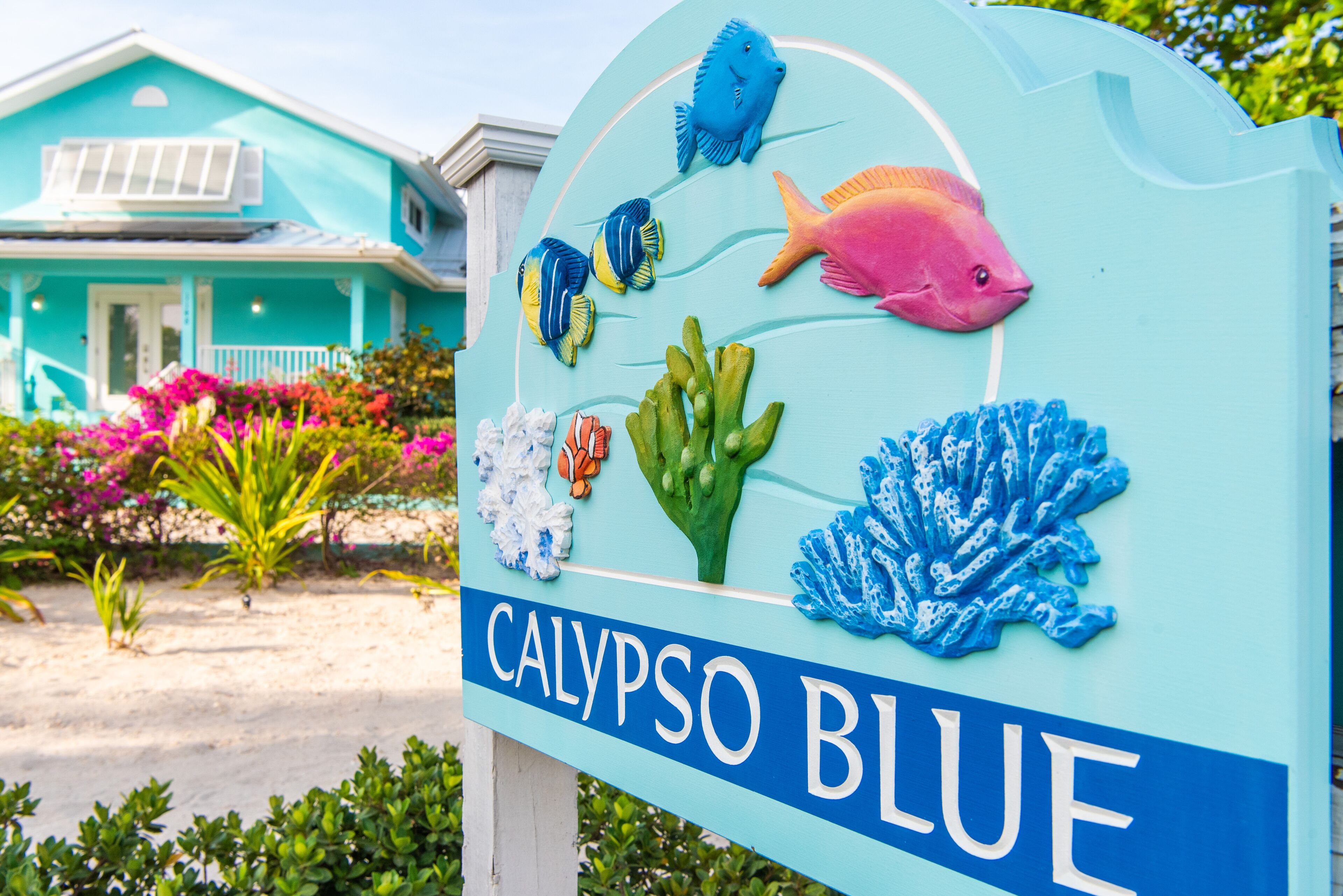 A sign with marine life illustrations and the text "CALYPSO BLUE".