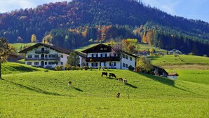 A large, two-story building with a balcony, surrounded by a green field with cows grazing. - Apartment Westernberg 55sqm, terrace, kitchen, 1 bedroom, 1 bedsit. (Ruhpolding)