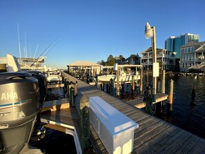 Marina
