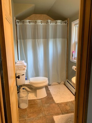 Towels, soap, shampoo, toilet paper - Historic home - walk to village center. Original features with modern updates. (Greendale)