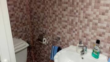 Hair dryer, towels, shampoo, toilet paper