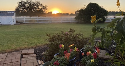 Le Barn Rouge Bed & Breakfast A Country Living Home in Acadiana