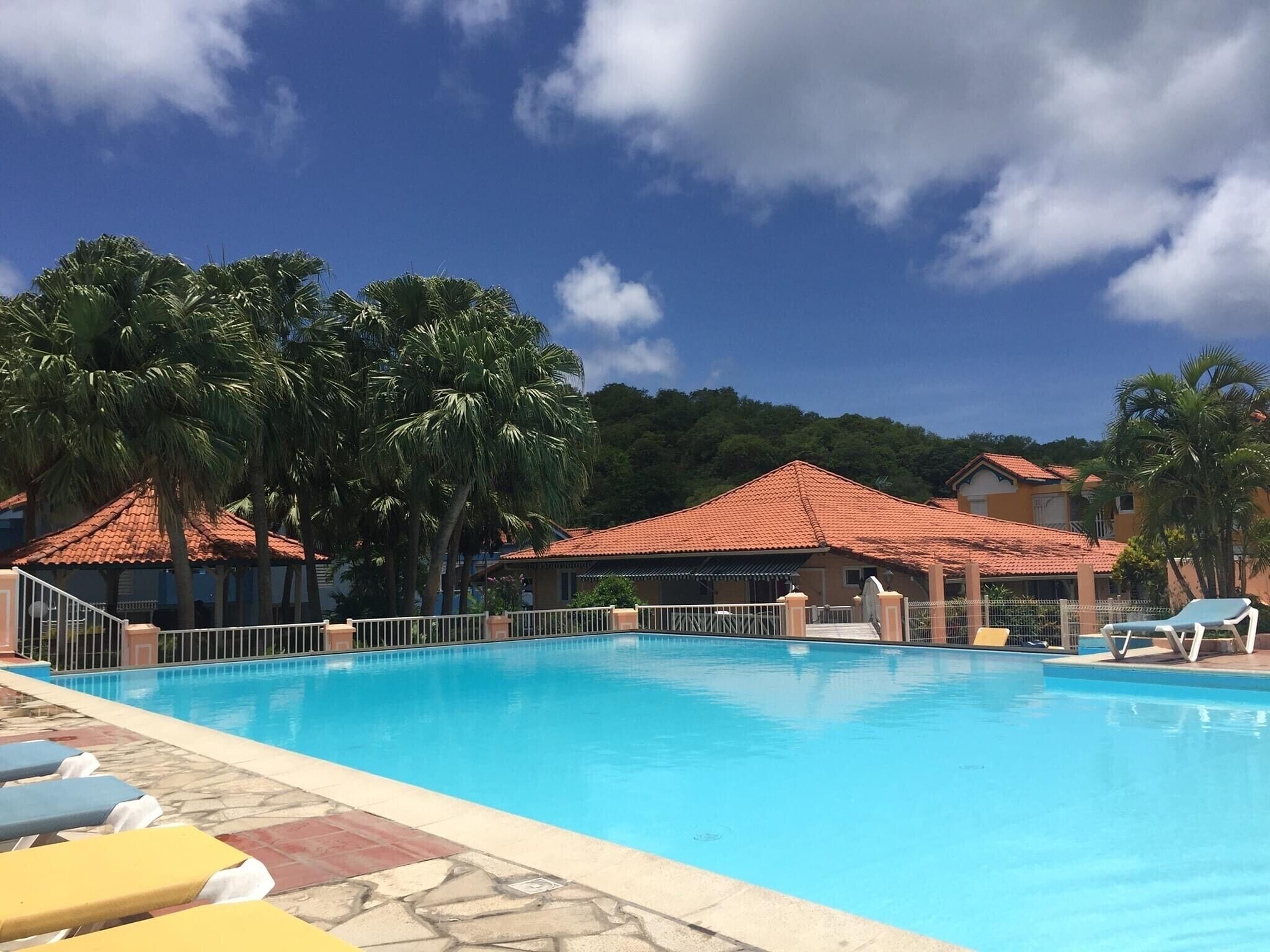 A swimming pool with lounge chairs, palm trees, and buildings with red-tiled roofs.