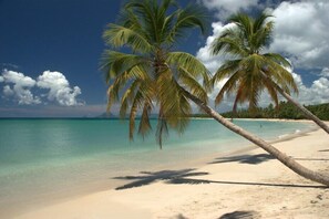 A beach with clear turquoise water, palm trees, and a clear sky.