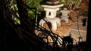 Une lanterne en pierre dans un jardin à la végétation luxuriante.