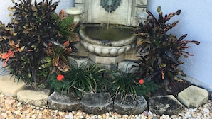 Une fontaine en pierre ornée d’une tête de lion, entourée de différentes plantes et de petits galets.
