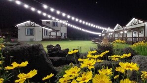 Uma fileira de casas brancas com um gramado e flores amarelas em primeiro plano.