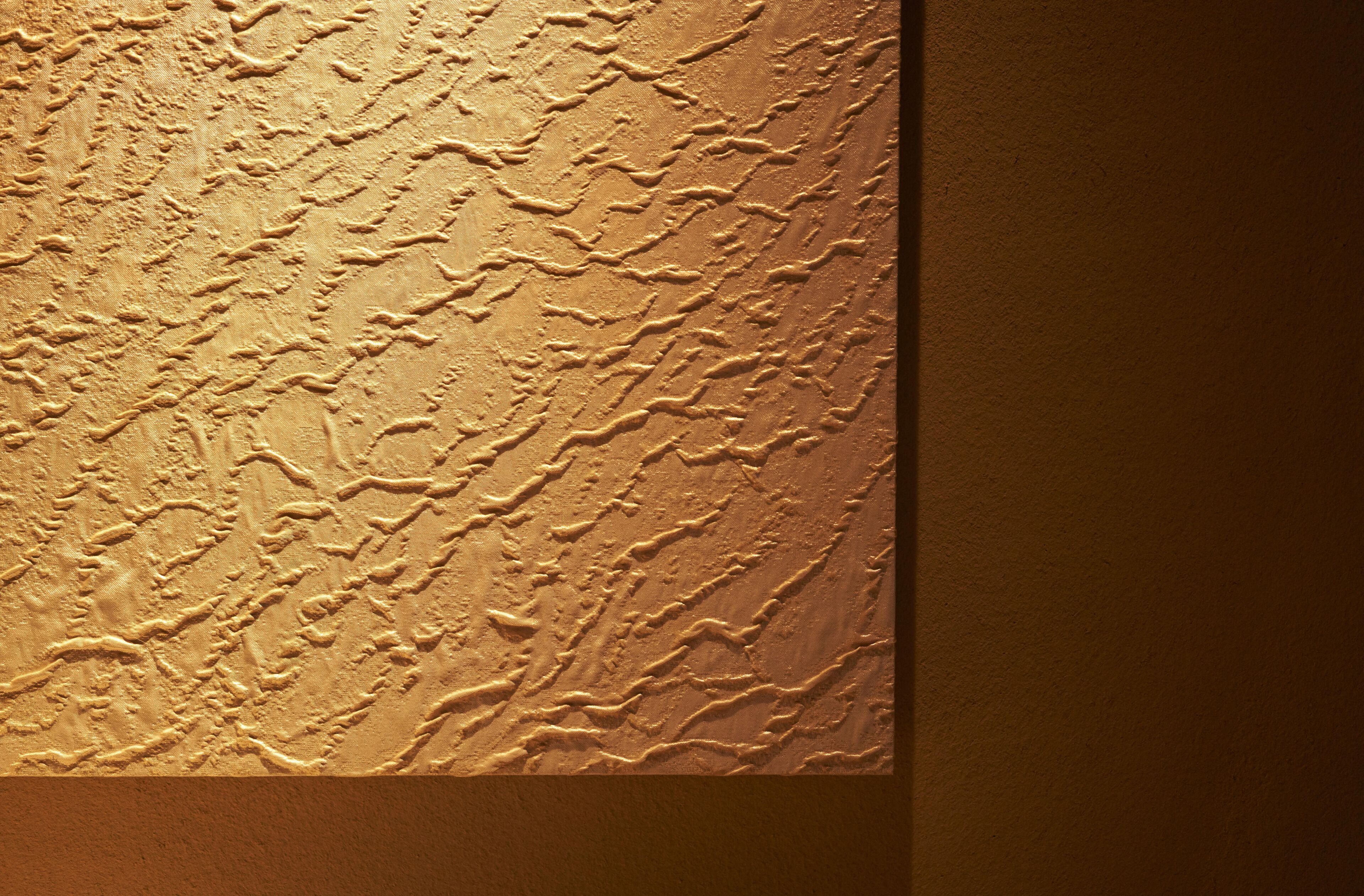 A textured wall with a complex pattern.