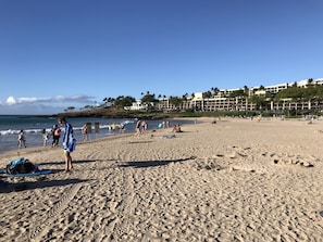 Plage à proximité, chaises longues, serviettes de plage