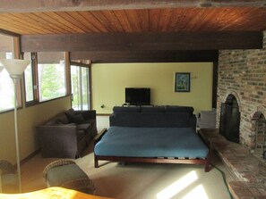 Televisión de pantalla plana, chimenea, reproductor de DVD y libros 