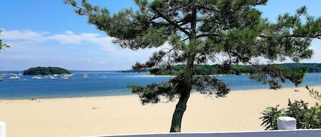 ビーチの近く、ビーチタオル