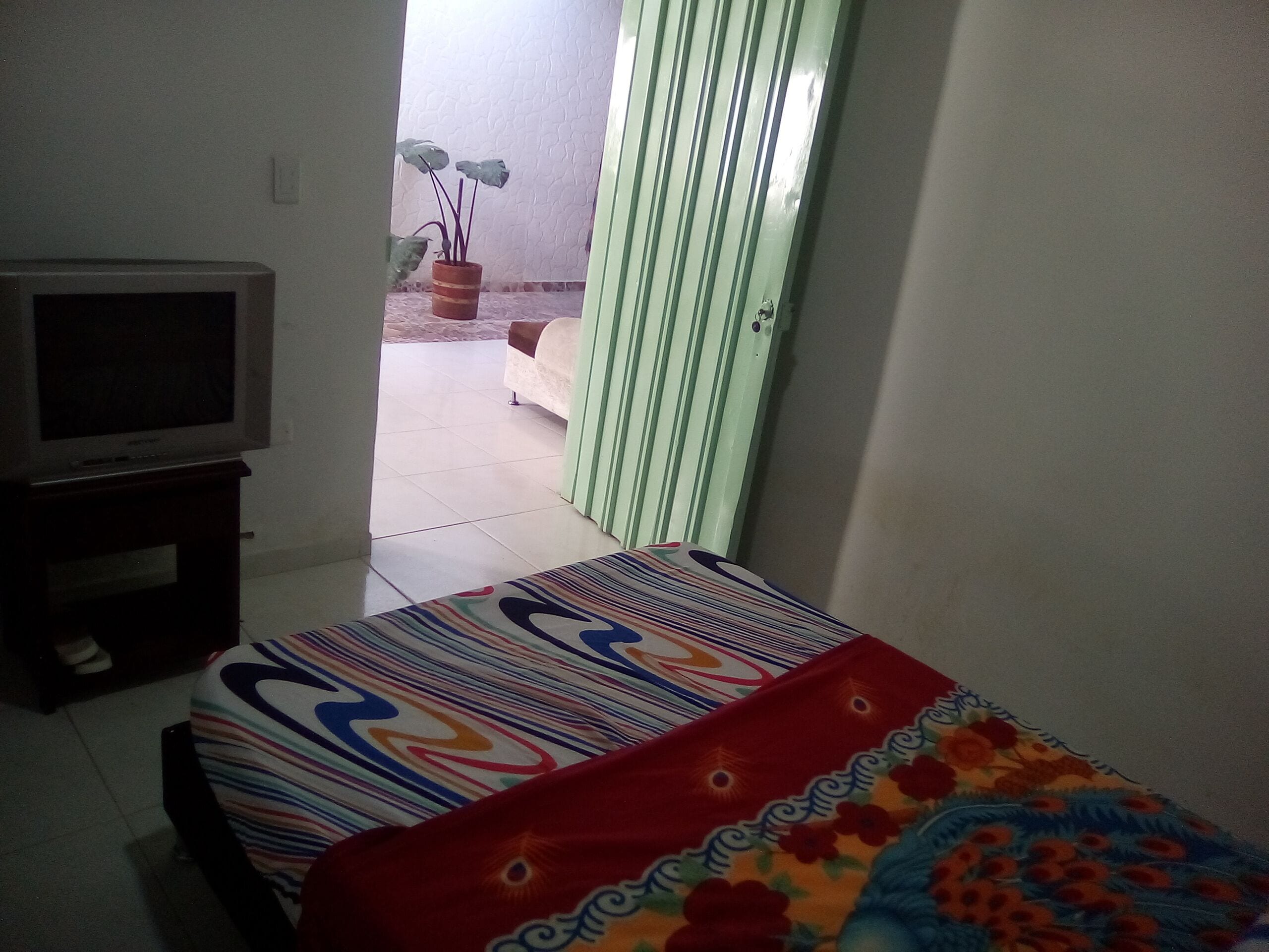 A room with a bed, a television on a stand, a potted plant, and a sliding door leading to an outdoor area.