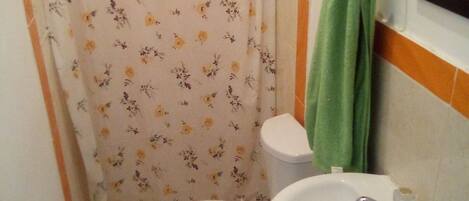 A bathroom with a toilet, sink, and shower curtain.