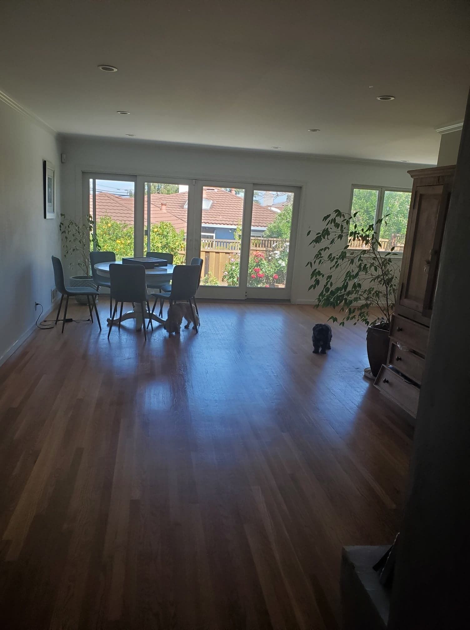 A spacious room with a large sliding glass door leading to a patio, a dining area with chairs and a table, and a potted plant.