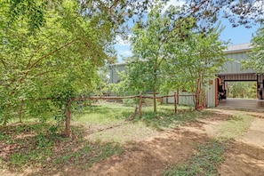 A fenced outdoor area with trees, a building entrance, and a dirt path. - Charming 2 bedroom cottage with private pool in the heart of the Texas Hill Coun (Johnson City)