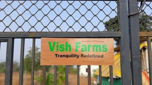 Une enseigne en bois portant les inscriptions « Vish Farms » et « Tranquility Redefined », fixée à un portail en métal.
