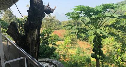 Vish Farms - A Seven acre paradise