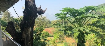 Vish Farms - A Seven acre paradise