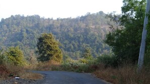 Une route asphaltée qui serpente à travers un paysage naturel, avec une forêt dense en arrière-plan.
