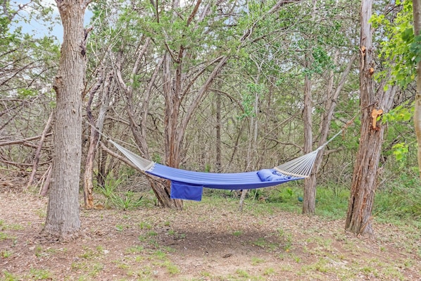 A hammock suspended between trees in a forested area.