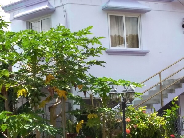 A white building with a staircase and a garden with various plants.