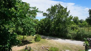 Un espacio al aire libre con césped, árboles y un pequeño jardín.