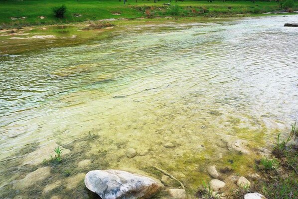 Un río claro con rocas visibles y una orilla cubierta de hierba.