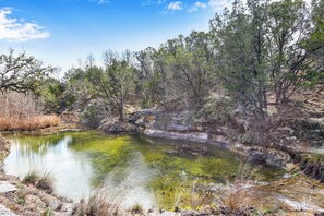 A natural landscape with a clear pond surrounded by trees and dry vegetation. - Private, cozy and romantic cabin - a Wimberley favorite! Private hot tub! (Wimberley)