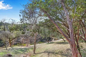 A natural landscape with trees and a small stream. - Private, cozy and romantic cabin - a Wimberley favorite! Private hot tub! (Wimberley)